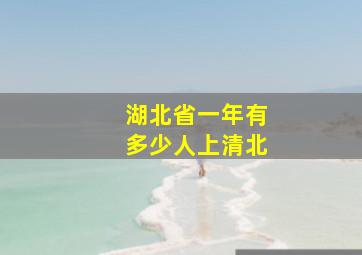 湖北省一年有多少人上清北