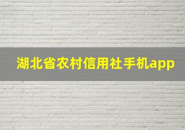 湖北省农村信用社手机app