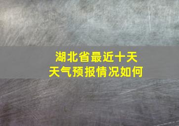 湖北省最近十天天气预报情况如何