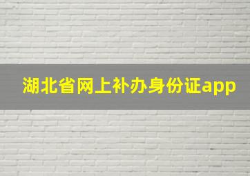 湖北省网上补办身份证app