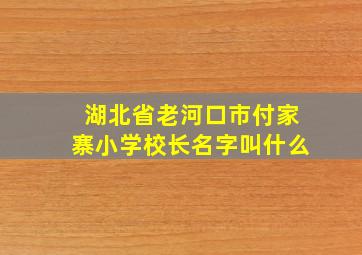 湖北省老河口市付家寨小学校长名字叫什么