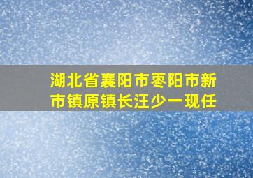 湖北省襄阳市枣阳市新市镇原镇长汪少一现任