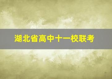 湖北省高中十一校联考