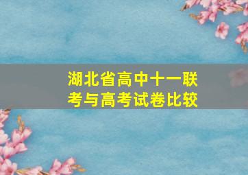 湖北省高中十一联考与高考试卷比较