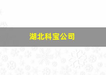 湖北科宝公司