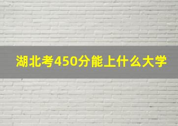 湖北考450分能上什么大学