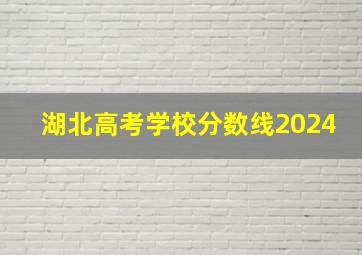 湖北高考学校分数线2024