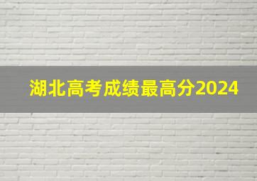 湖北高考成绩最高分2024