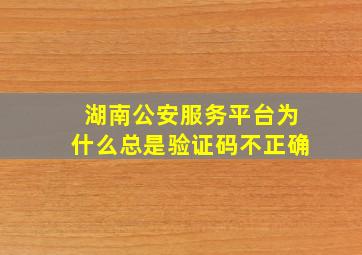 湖南公安服务平台为什么总是验证码不正确