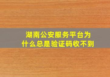 湖南公安服务平台为什么总是验证码收不到