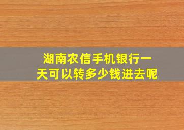 湖南农信手机银行一天可以转多少钱进去呢