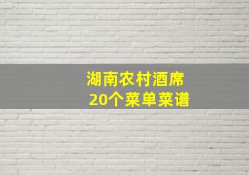 湖南农村酒席20个菜单菜谱