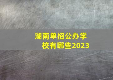 湖南单招公办学校有哪些2023