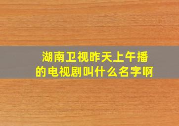 湖南卫视昨天上午播的电视剧叫什么名字啊