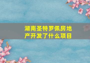 湖南圣特罗佩房地产开发了什么项目