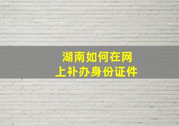 湖南如何在网上补办身份证件