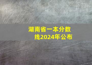 湖南省一本分数线2024年公布