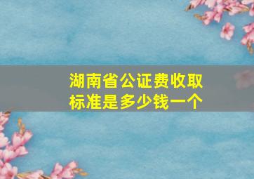 湖南省公证费收取标准是多少钱一个