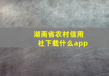 湖南省农村信用社下载什么app