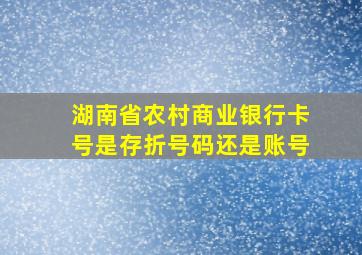 湖南省农村商业银行卡号是存折号码还是账号