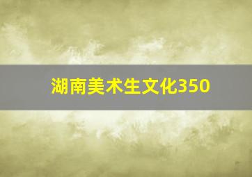 湖南美术生文化350