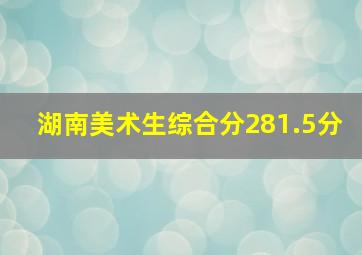 湖南美术生综合分281.5分