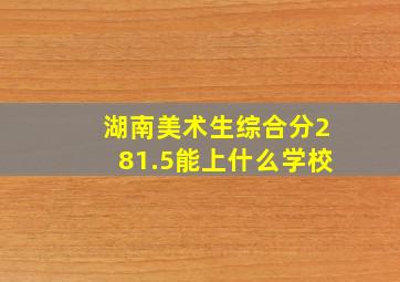 湖南美术生综合分281.5能上什么学校