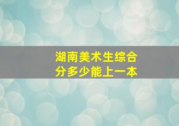 湖南美术生综合分多少能上一本