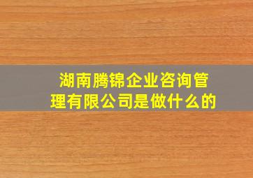 湖南腾锦企业咨询管理有限公司是做什么的