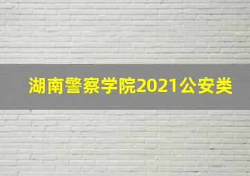 湖南警察学院2021公安类