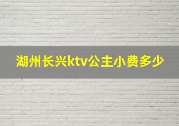 湖州长兴ktv公主小费多少