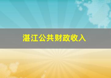 湛江公共财政收入