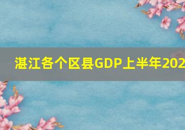 湛江各个区县GDP上半年2024