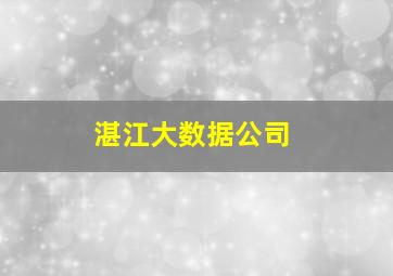 湛江大数据公司