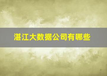 湛江大数据公司有哪些