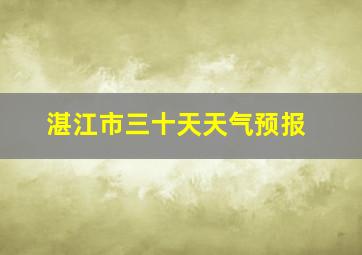 湛江市三十天天气预报