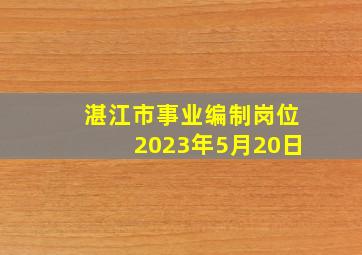 湛江市事业编制岗位2023年5月20日