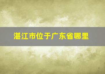 湛江市位于广东省哪里