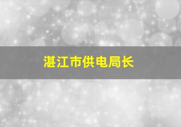 湛江市供电局长