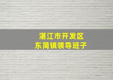 湛江市开发区东简镇领导班子