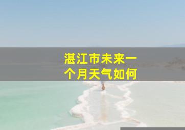 湛江市未来一个月天气如何