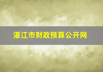 湛江市财政预算公开网