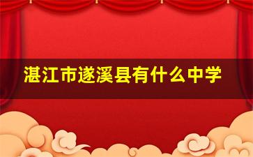 湛江市遂溪县有什么中学