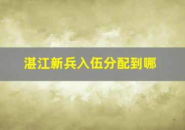 湛江新兵入伍分配到哪