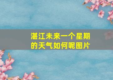 湛江未来一个星期的天气如何呢图片