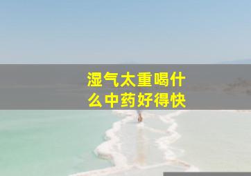 湿气太重喝什么中药好得快