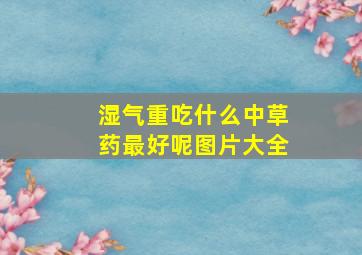 湿气重吃什么中草药最好呢图片大全