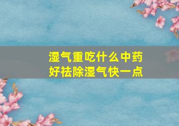 湿气重吃什么中药好祛除湿气快一点