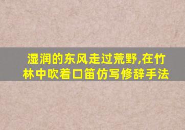 湿润的东风走过荒野,在竹林中吹着口笛仿写修辞手法