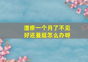 湿疹一个月了不见好还蔓延怎么办呀